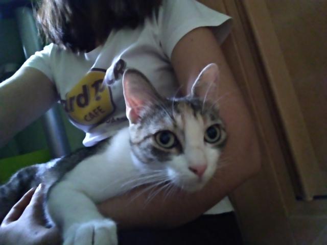 multimedia-foto41551-88-3