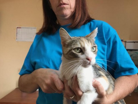 multimedia-foto41555-457-3