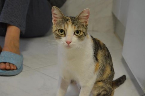 multimedia-foto41556-457-3