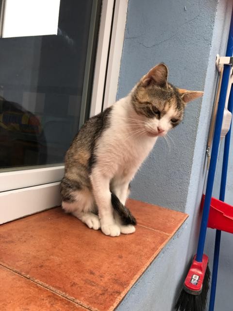 multimedia-foto41557-457-3