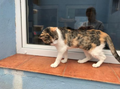 multimedia-foto41558-458-3