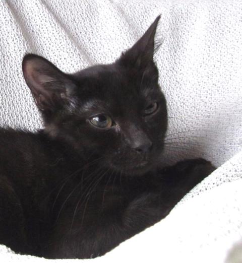 multimedia-foto41560-966-3