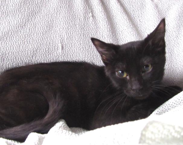 multimedia-foto41561-966-3