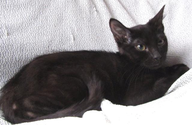 multimedia-foto41563-967-3