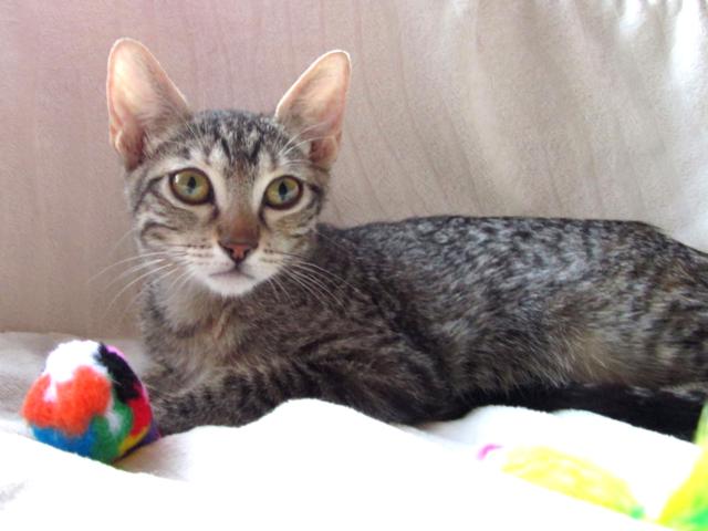 multimedia-foto41572-189-3