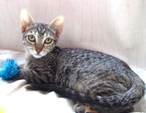 multimedia-foto41573-189-3