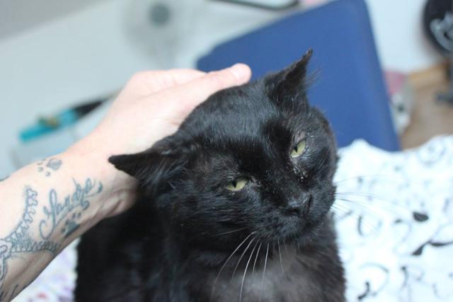 multimedia-foto41618-251-3