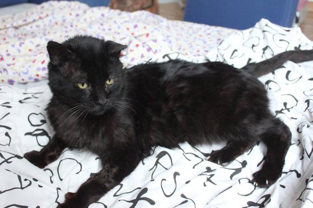 multimedia-foto41619-251-3