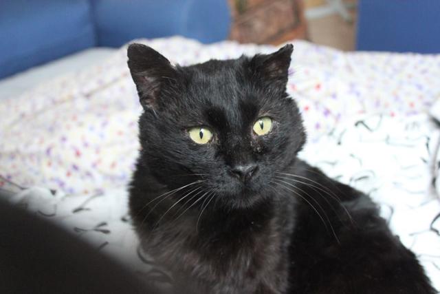 multimedia-foto41620-251-3