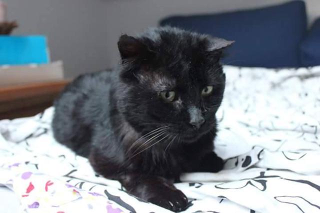 multimedia-foto41621-252-3