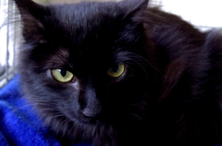 multimedia-foto41628-298-3