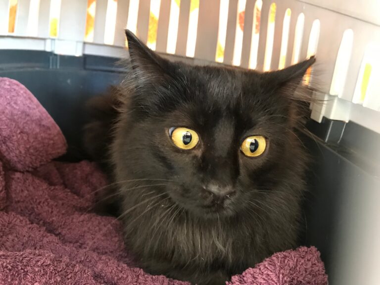 multimedia-foto41631-340-3