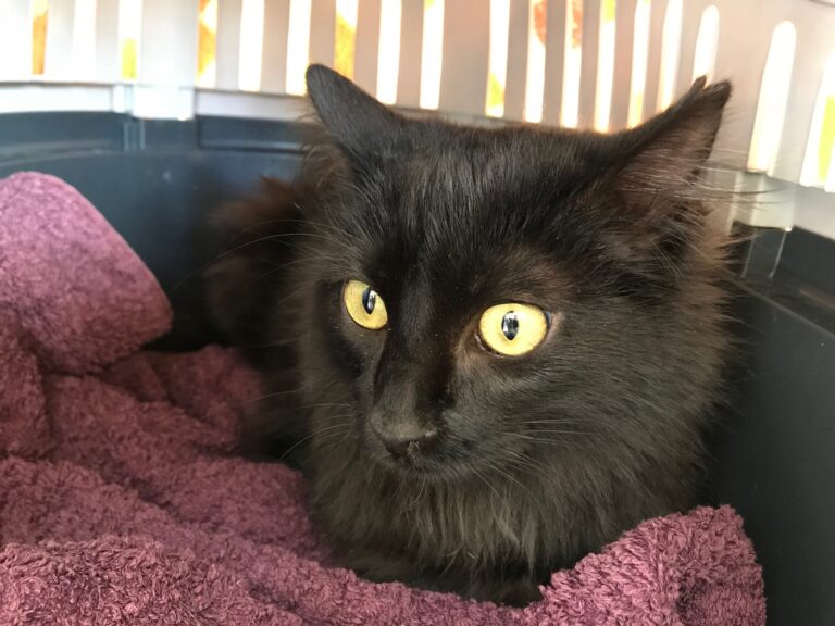 multimedia-foto41632-341-3