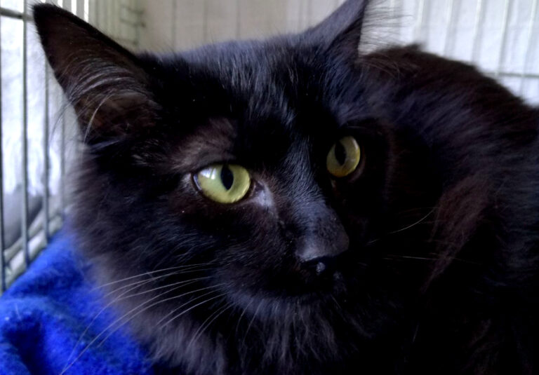 multimedia-foto41635-358-3