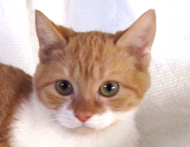 multimedia-foto41666-746-3