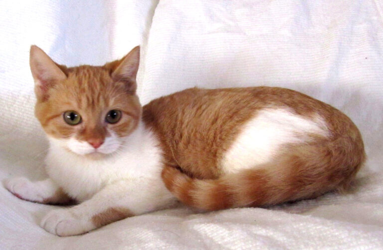 multimedia-foto41667-746-3