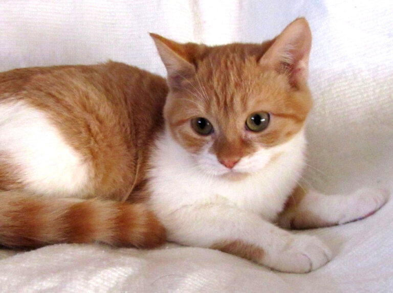 multimedia-foto41671-748-3