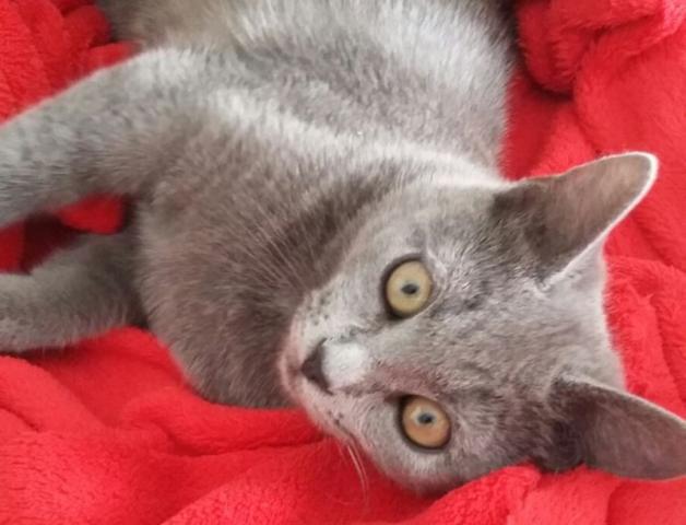 multimedia-foto41693-799-3