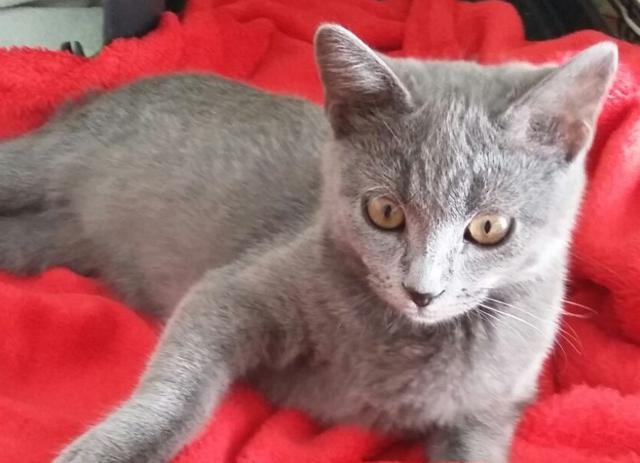 multimedia-foto41695-799-3