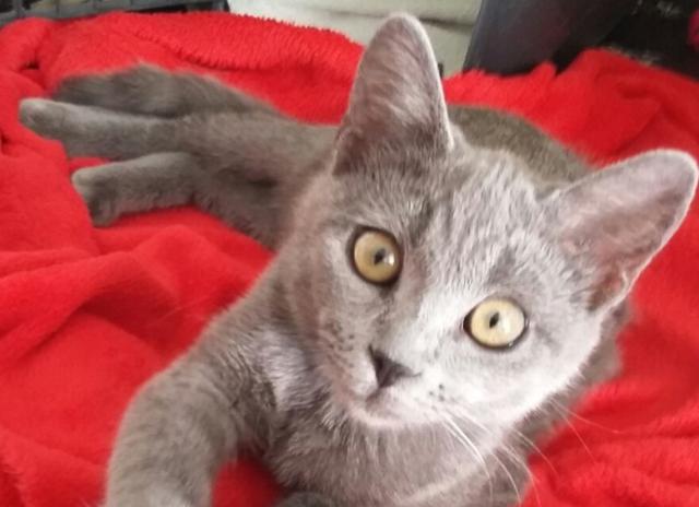 multimedia-foto41696-799-3