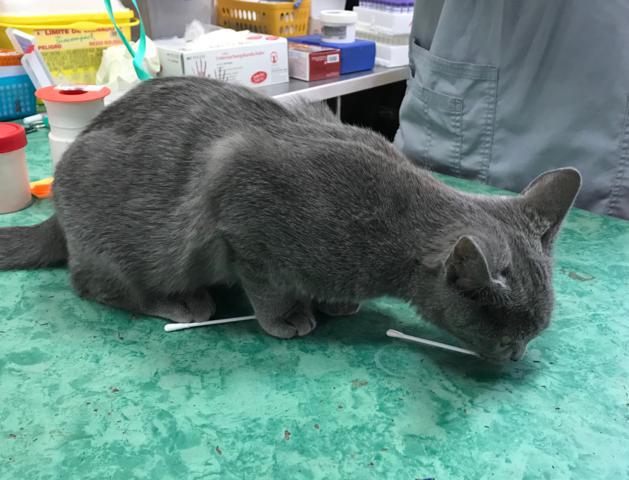 multimedia-foto41699-799-3