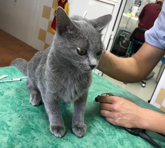 multimedia-foto41701-799-3