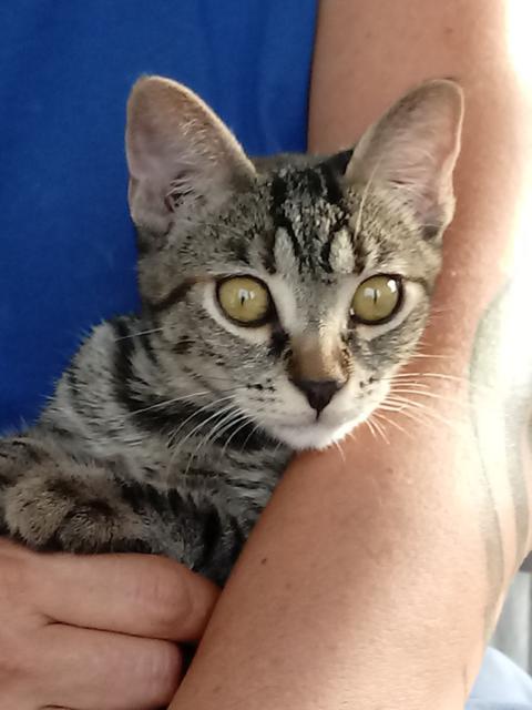 multimedia-foto41731-710-3