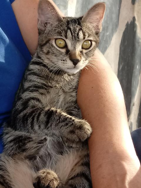 multimedia-foto41732-710-3