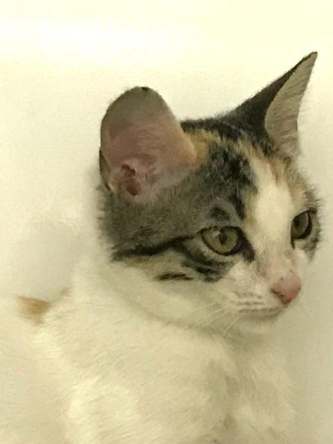 multimedia-foto41746-302-3