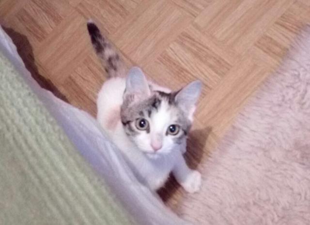 multimedia-foto41747-303-3