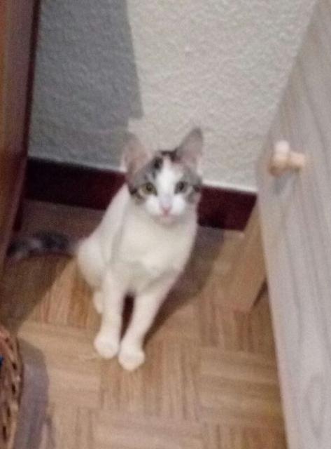 multimedia-foto41748-303-3