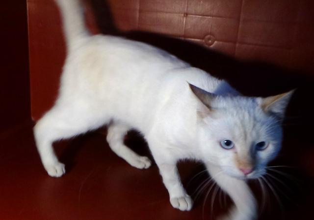 multimedia-foto41751-138-3