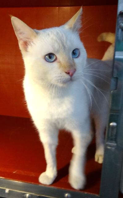 multimedia-foto41752-138-3