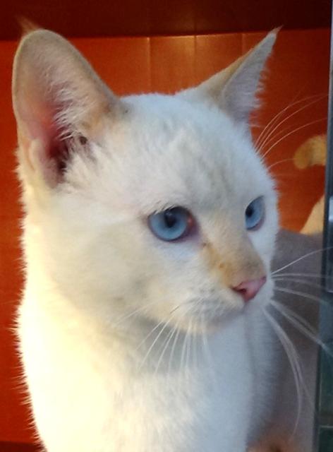 multimedia-foto41753-138-3