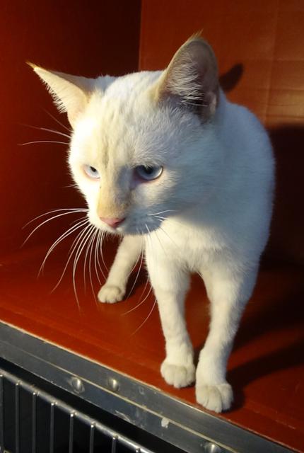 multimedia-foto41754-138-3