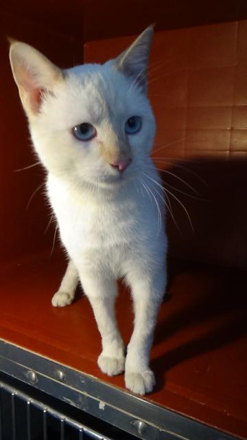 multimedia-foto41755-138-3