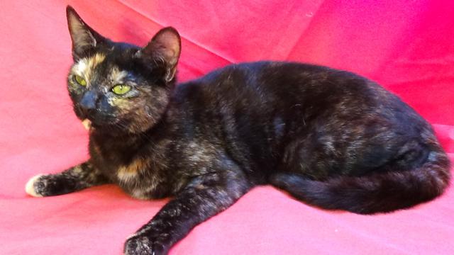 multimedia-foto41756-768-3