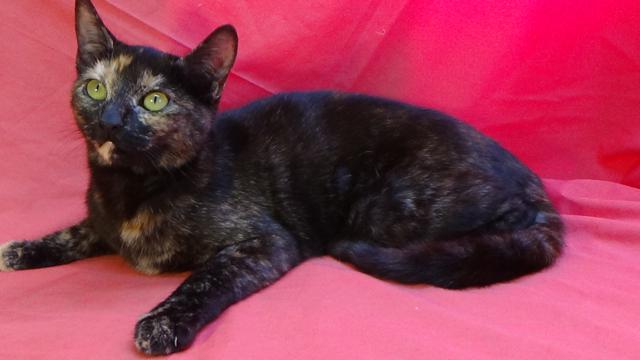 multimedia-foto41759-768-3