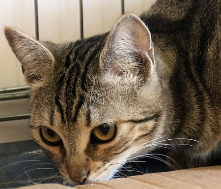 multimedia-foto41772-668-3