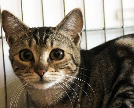 multimedia-foto41773-668-3