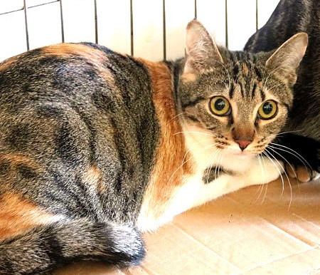 multimedia-foto41779-735-3