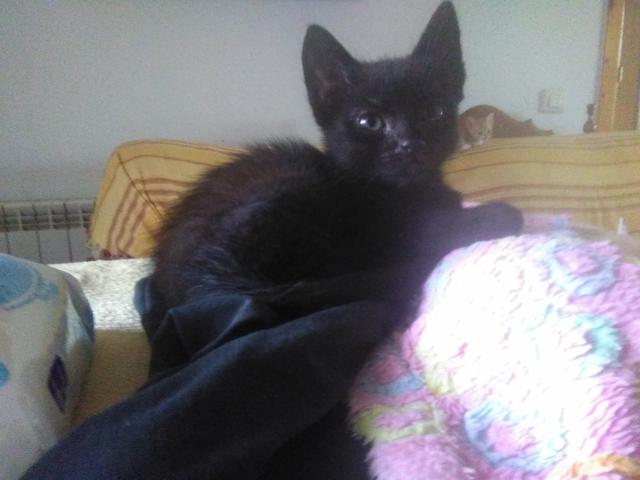 multimedia-foto41788-987-3