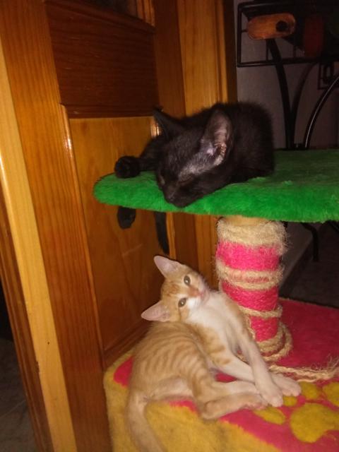 multimedia-foto41795-44-3