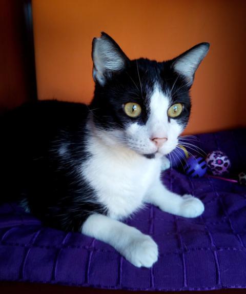 multimedia-foto41800-935-3