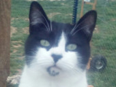 multimedia-foto41801-102-3