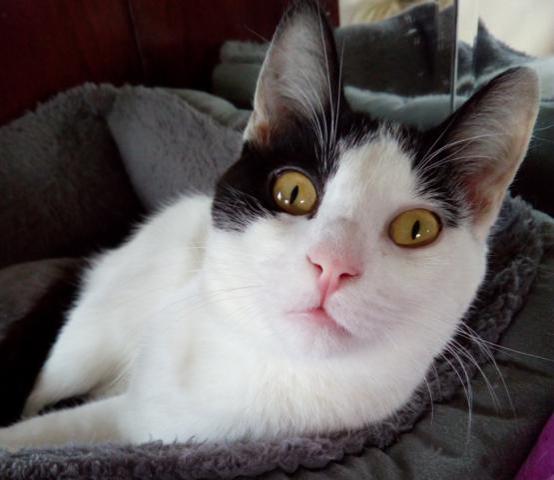 multimedia-foto41807-979-3