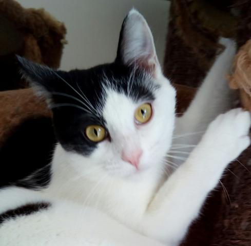 multimedia-foto41813-979-3