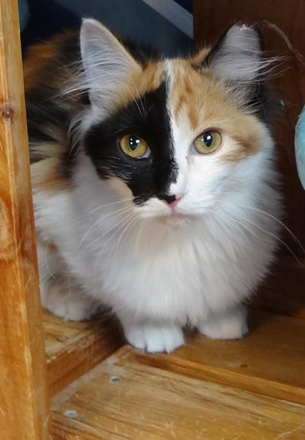 multimedia-foto41844-626-3