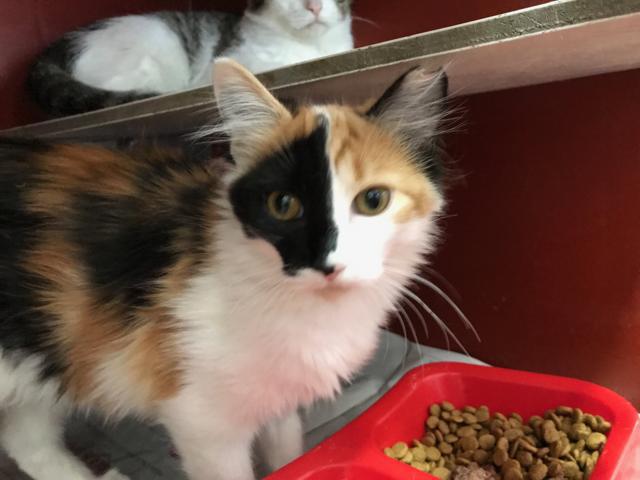 multimedia-foto41845-626-3