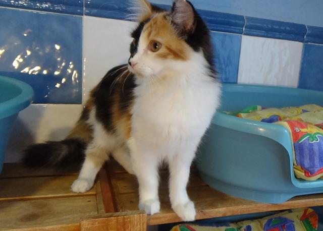 multimedia-foto41848-627-3